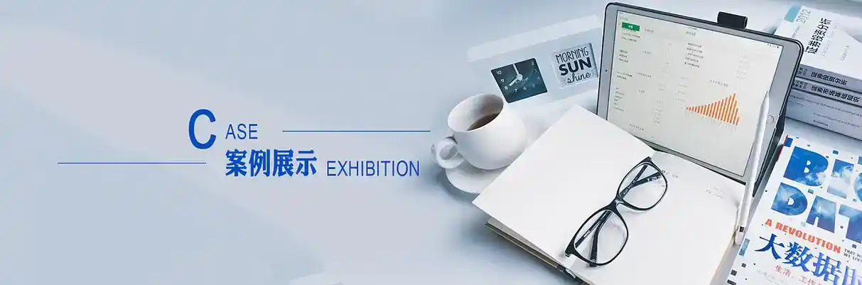 谢家集区软件开发